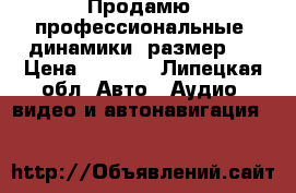 Продамю, профессиональные  динамики, размер16 › Цена ­ 4 500 - Липецкая обл. Авто » Аудио, видео и автонавигация   